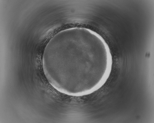 X0000113990918200911131114