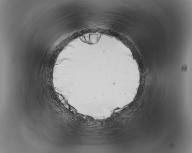 X0000113990919200911131114