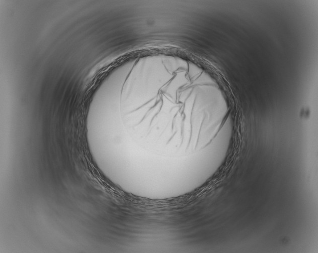 X0000113990920200911131114