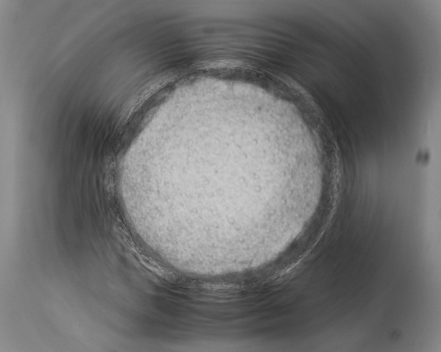 X0000113990921200911131114