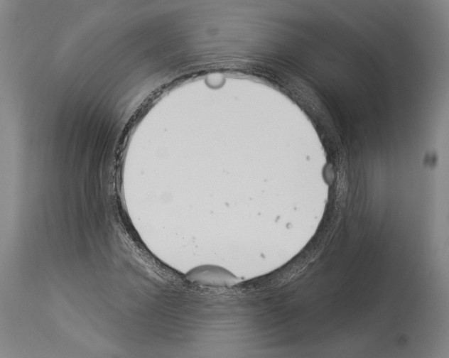 X0000113990924200911131114