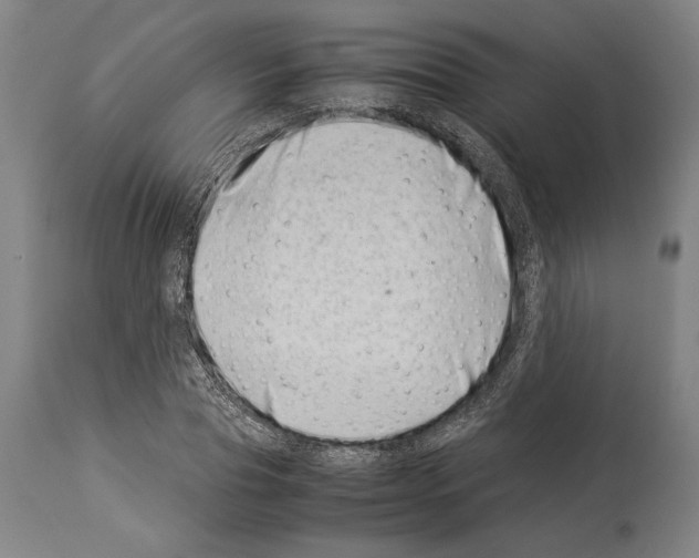 X0000113990929200911131114