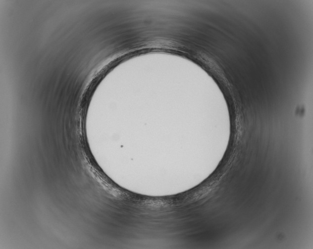 X0000113990931200911131114