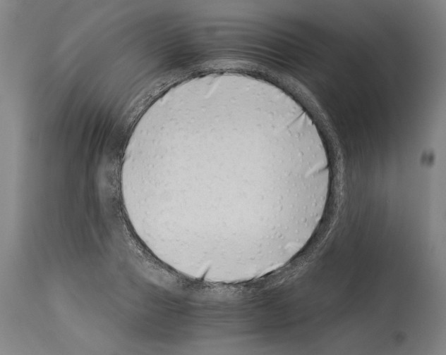 X0000113990937200911131114