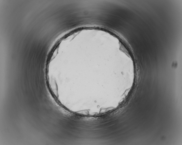 X0000113990943200911131115