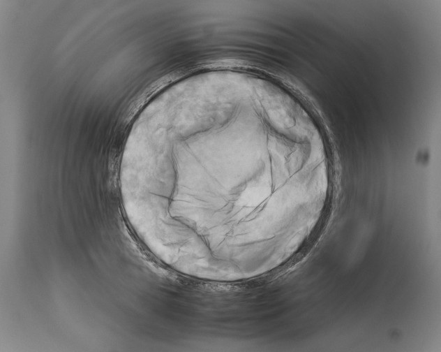 X0000113990945200911131115