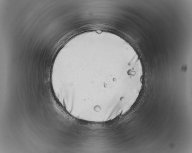 X0000113990946200911131115