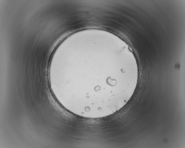 X0000113990947200911131115