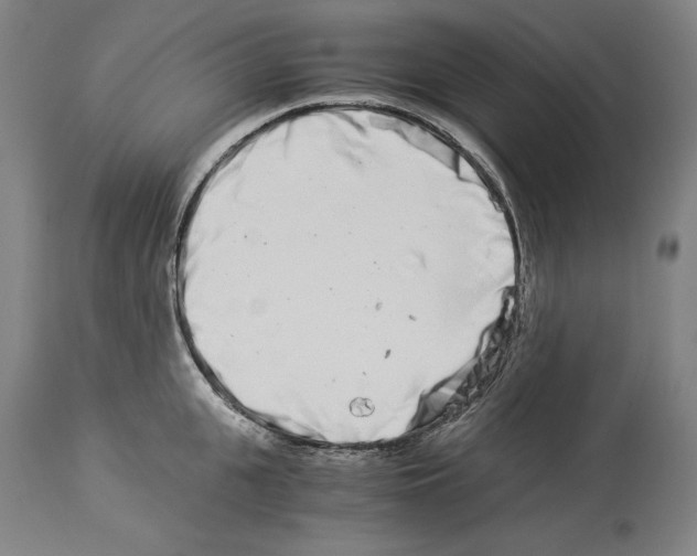 X0000113990951200911131115