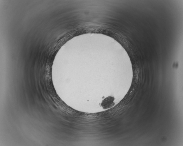 X0000113990964200911131114