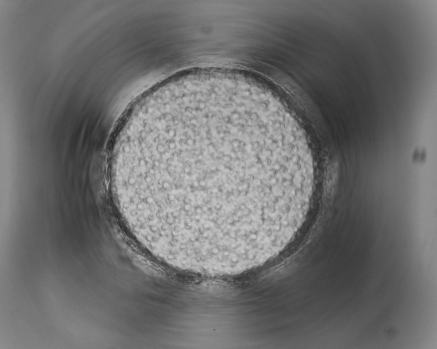 X0000113990974200911131114