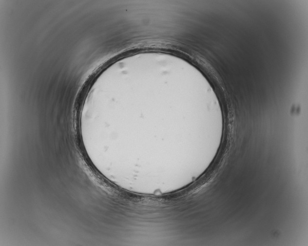 X0000113990981200911131114