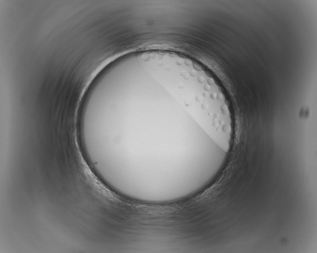 X0000113990984200911131114