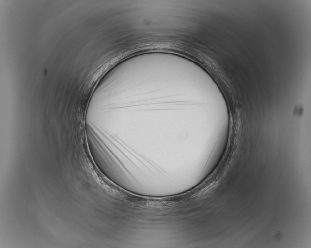 X0000113990985200911131114