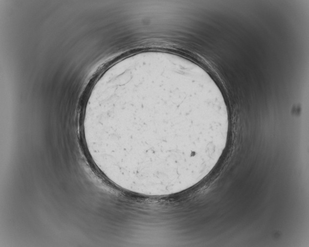 X0000113990987200911131114