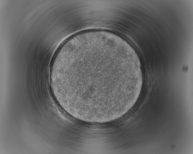 X0000113990988200911131114