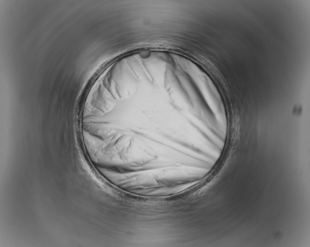 X0000113990989200911131114