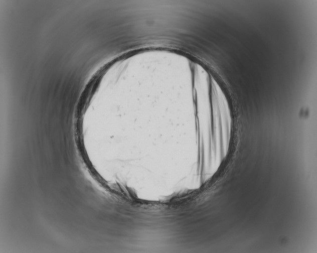 X0000113990991200911131114