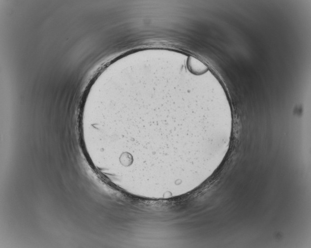 X0000113990995200911131114