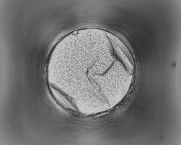 X0000113991005200911131114