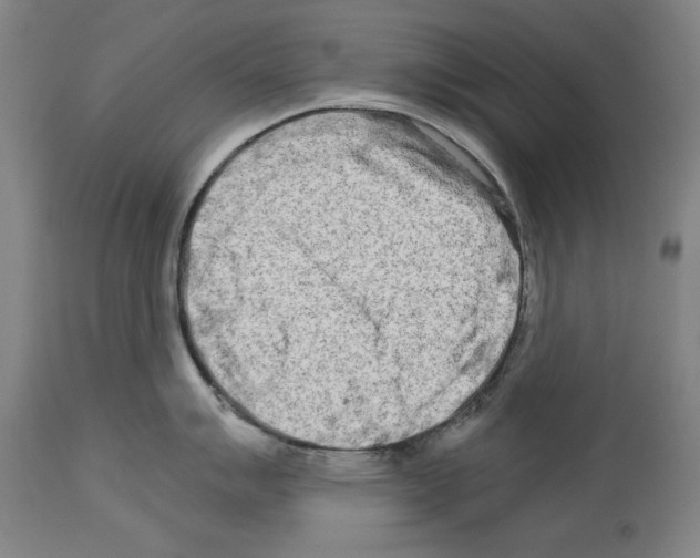 X0000113991007200911131114