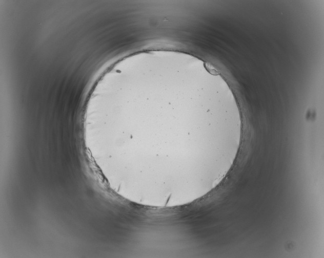 X0000113991008200911131113