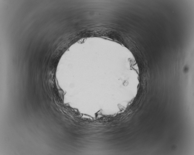 X0000113991010200911131113