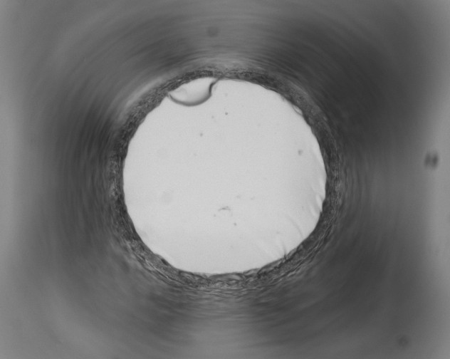 X0000113991016200911131113