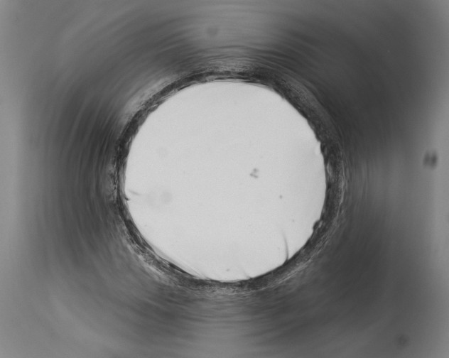 X0000113991018200911131113