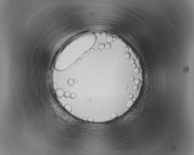 X0000113991020200911131113