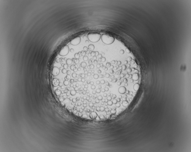 X0000113991022200911131113