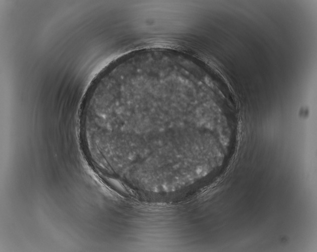 X0000113991024200911131113