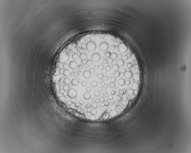 X0000113991025200911131113