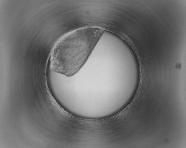 X0000113991028200911131113