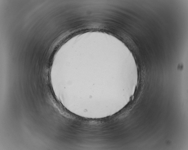 X0000113991029200911131113