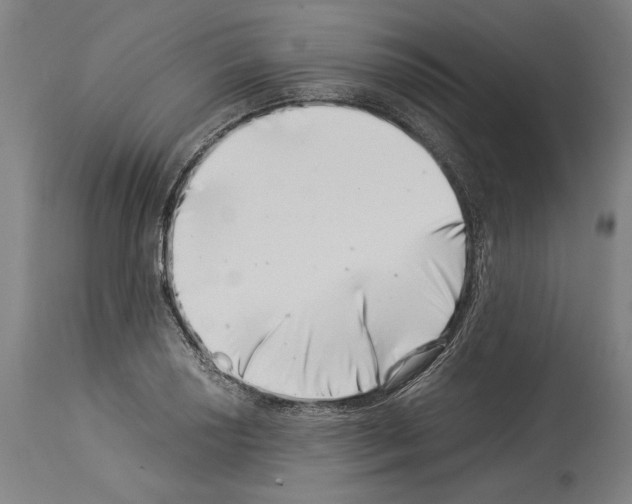 X0000113991034200911131113