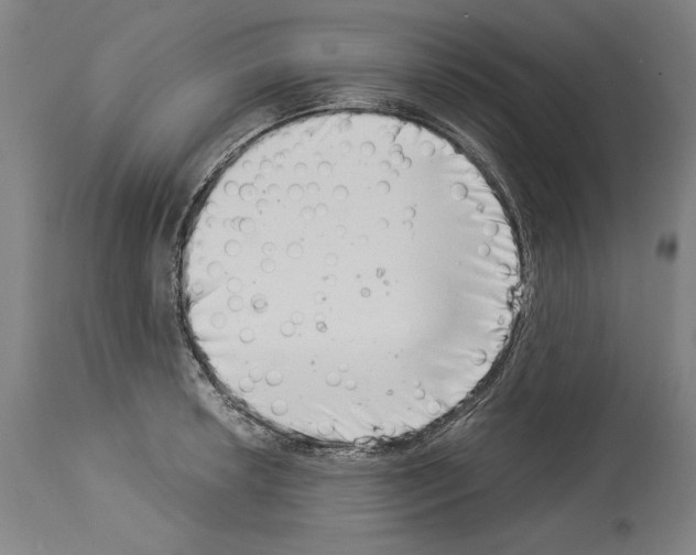 X0000113991042200911131113