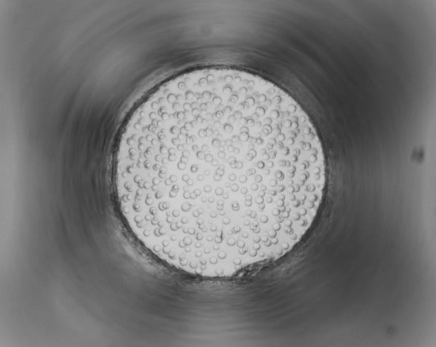 X0000113991044200911131113