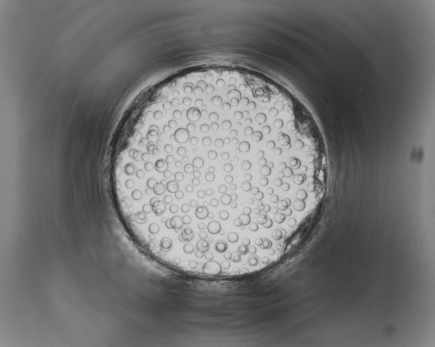 X0000113991045200911131113