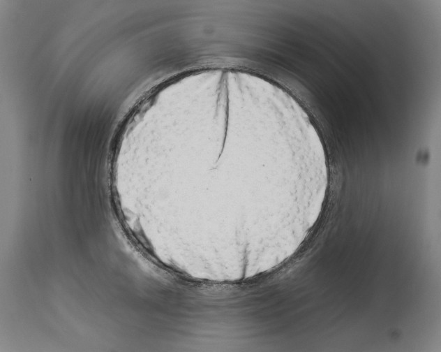 X0000113991046200911131113