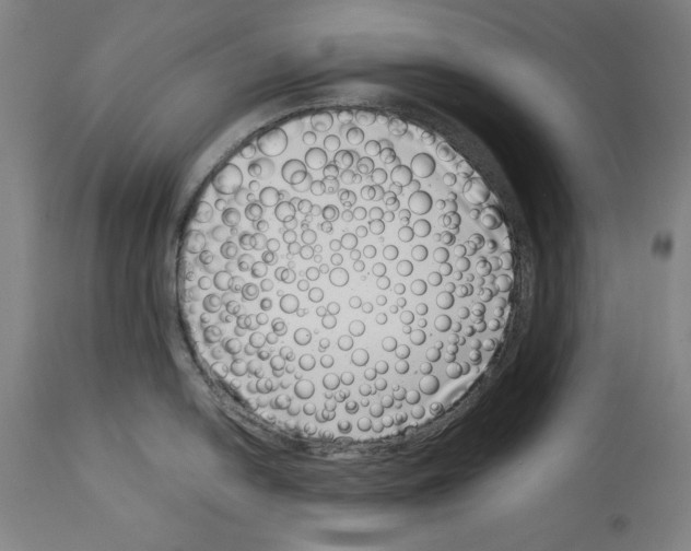 X0000113991054200911131113