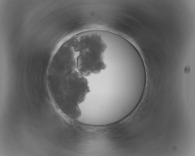 X0000113991056200911131113