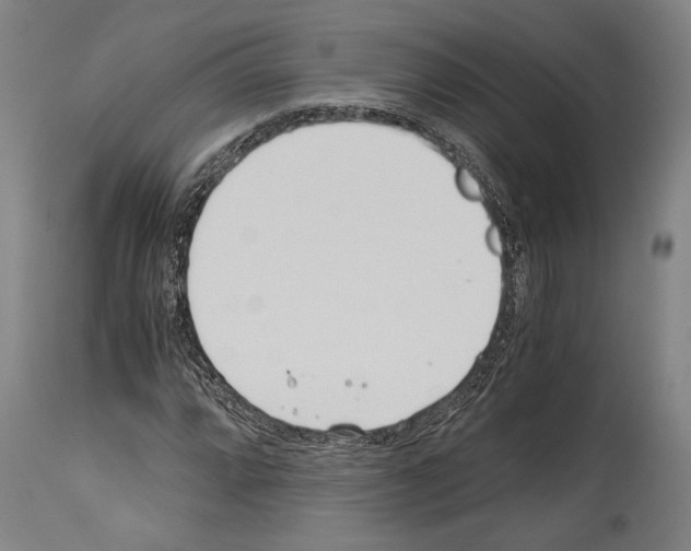 X0000113991064200911131113