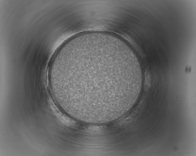 X0000113991078200911131113