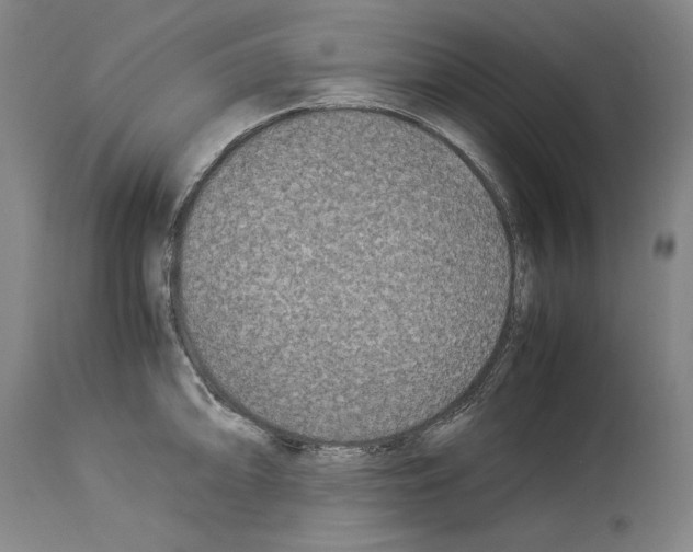 X0000113991094200911131112