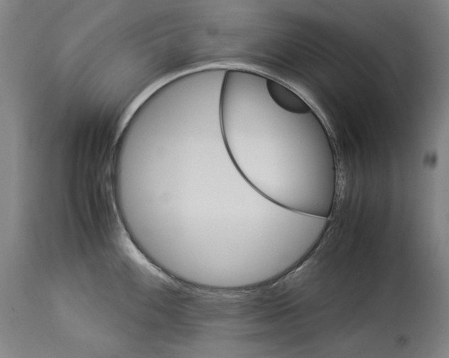 X0000113991100200911131112