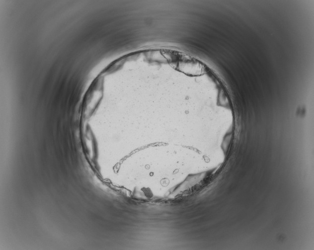 X0000113991102200911131112