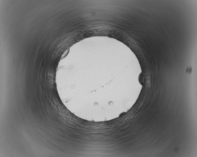 X0000113991108200911131111