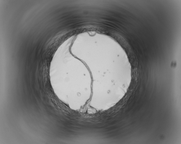 X0000113991111200911131111