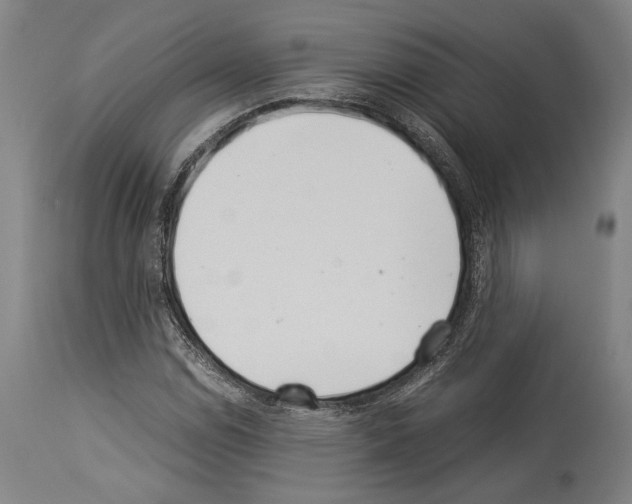 X0000113991114200911131111